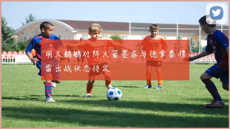 明天鹈鹕对阵火箭墨菲与德章泰穆雷出战状态待定
